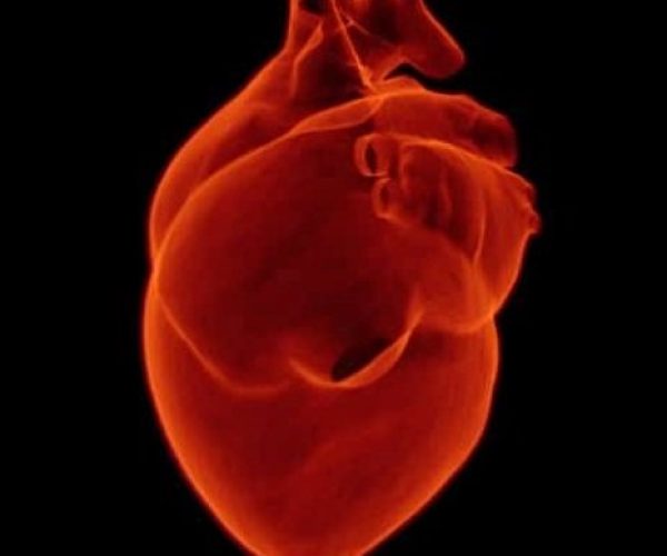 The-Ketonut-Keto-Heart-Health-Image